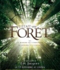 从前有座森林 Il était une Forêt            (2013)