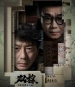 双探            (2021)