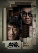 双探            (2021)