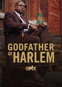 哈林教父 第二季 Godfather of Harlem Season 2            (2021)