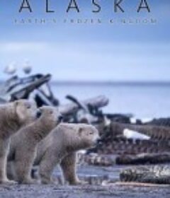 阿拉斯加：地球上的冰冻王国 Alaska: Earth's Frozen Kingdom            (2015)