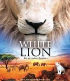 白狮 White Lion            (2010)