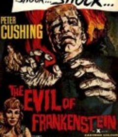 邪恶的科学怪人 The Evil of Frankenstein            (1964)