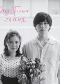 Dry Flower-七月的房间- ドライフラワー -七月の部屋-            (2021)