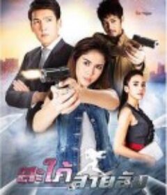 卧底儿媳 สะใภ้สายลับ            (2015)