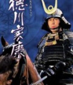德川家康 徳川家康            (1983)