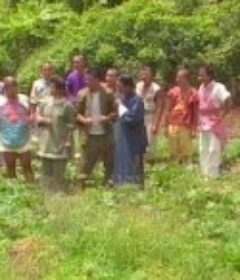 十兄弟            (1985)