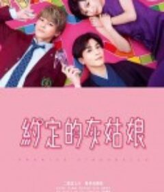 恋爱协议书 プロミス・シンデレラ            (2021)