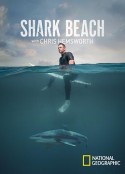 克里斯·海姆斯沃斯的鲨鱼奇遇 Shark Beach with Chris Hemsworth            (2021)