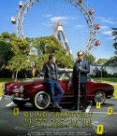 盲探 Blind ermittelt: Die toten Mädchen von Wien            (2018)