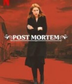 无尸小镇 Post Mortem: Ingen dør i Skarnes            (2021)