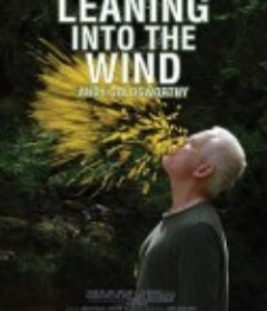 投身风中 Leaning Into the Wind: Andy Goldsworthy            (2017)