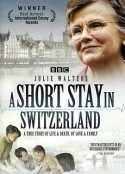 在瑞士的日子 A Short Stay in Switzerland            (2009)