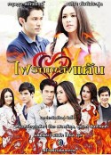 仇火爱焰 ไฟรักเพลิงแค้น            (2014)