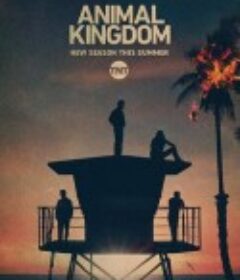 野兽家族 第五季 Animal Kingdom Season 5            (2021)