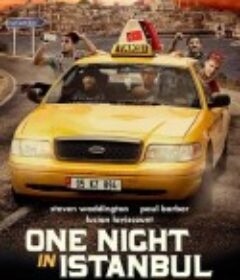 伊斯坦堡奇迹夜 One Night In Istanbul            (2014)