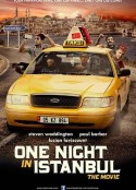 伊斯坦堡奇迹夜 One Night In Istanbul            (2014)