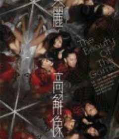 美麗高解像            (2009)