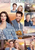 湾畔倾情 第五季 Chesapeake Shores Season 5            (2021)