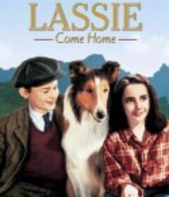 灵犬莱西 Lassie Come Home            (1943)