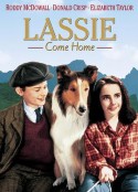 灵犬莱西 Lassie Come Home            (1943)