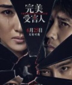 完美受害人            (2021)