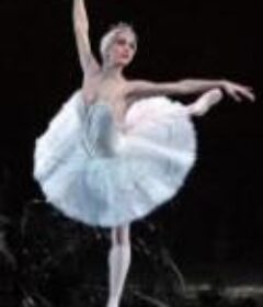 英皇芭蕾舞团《天鹅湖》2017