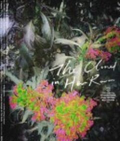 她房间里的云            (2020)