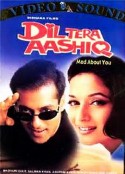 双面俏佳人 Dil Tera Aashiq            (1993)
