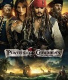 加勒比海盗4：惊涛怪浪 Pirates of the Caribbean: On Stranger Tides            (2011)