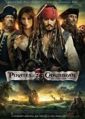 加勒比海盗4：惊涛怪浪 Pirates of the Caribbean: On Stranger Tides            (2011)