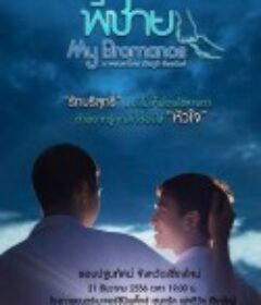 我的兄弟情人 พี่ชาย            (2014)