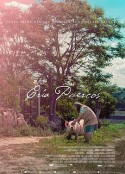 奶奶养的猪 Cría puercos            (2018)