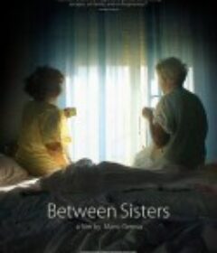 姐妹之间 Between Sisters            (2016)