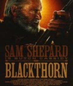 黑荆棘 Blackthorn            (2011)