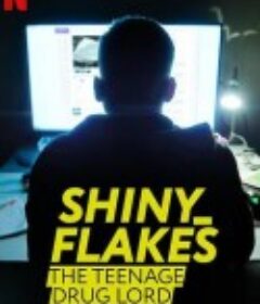 暗网青年毒枭 Shiny_Flakes: The Teenage Drug Lord            (2021)