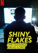 暗网青年毒枭 Shiny_Flakes: The Teenage Drug Lord            (2021)