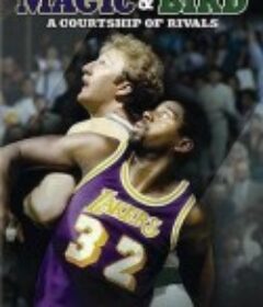 相亲相爱的魔术师和大鸟 Magic and Bird: A Courtship of Rivals            (2010)