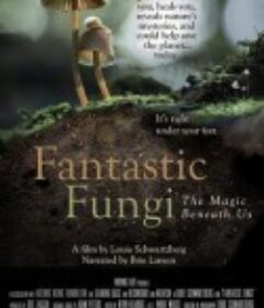 神奇的真菌 Fantastic Fungi            (2019)