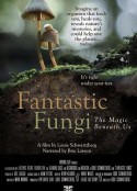 神奇的真菌 Fantastic Fungi            (2019)