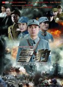 雪豹            (2010)