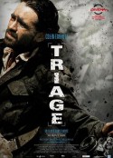 验伤 Triage            (2009)