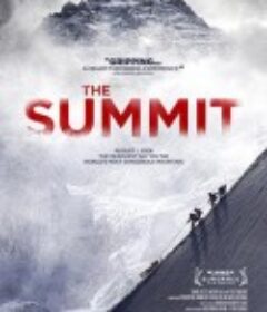 K2之巅 The Summit            (2012)