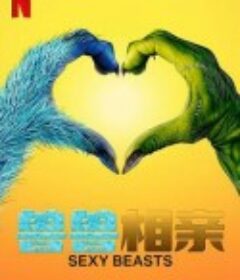 性感野兽 第一季 Sexy Beasts Season 1            (2021)