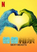 性感野兽 第一季 Sexy Beasts Season 1            (2021)