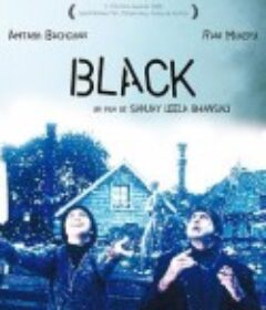 黑色的风采 Black            (2005)