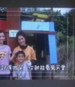 看见天堂            (2010)