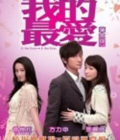 我的最爱 我的最愛            (2008)