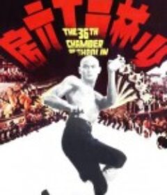 少林三十六房            (1978)
