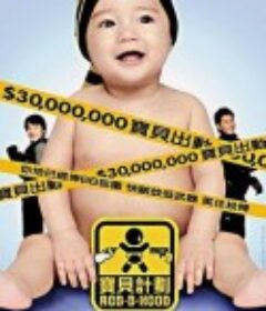 宝贝计划 寶貝計劃            (2006)